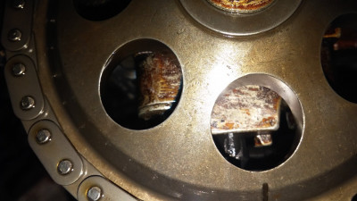 20190203_124954.jpg