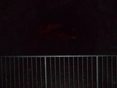 DSCN4942.JPG
