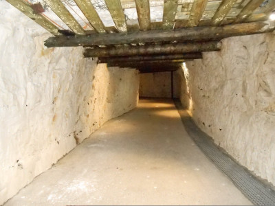 DSCN4945.JPG