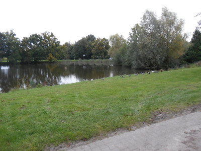 DSCN4921.JPG