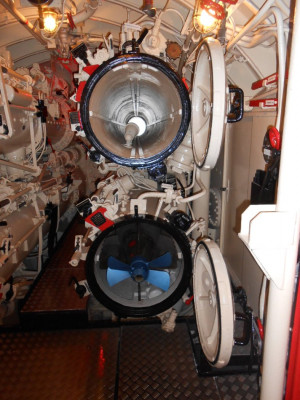 DSCN4983.JPG