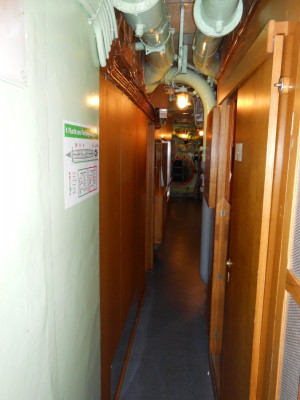 DSCN4991.JPG