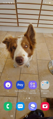 Screenshot_20200529-163018_One UI Home.jpg