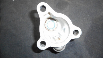 T16S-034.jpg