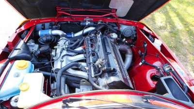 T16S-074.jpg